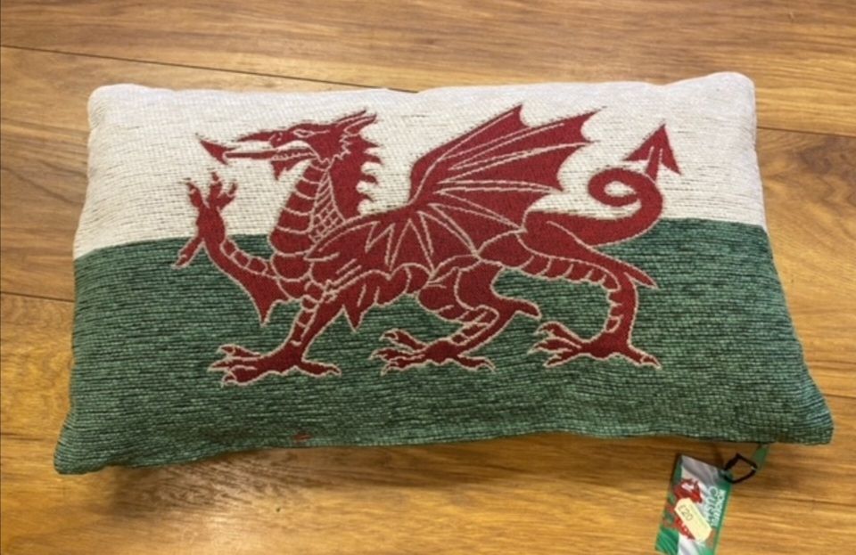 Dragon cushion