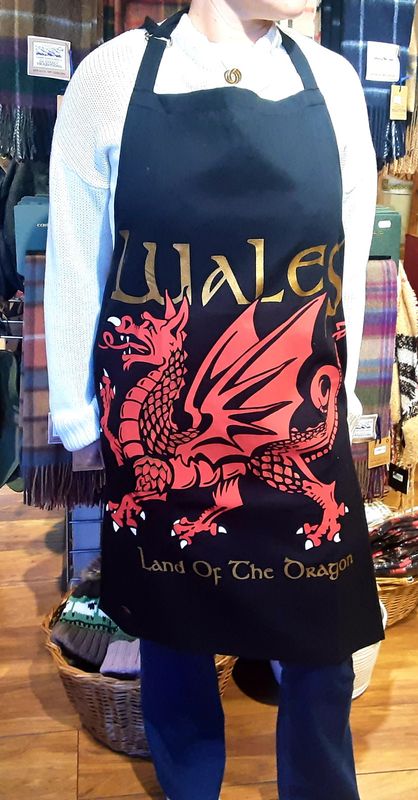 Land of the dragon apron