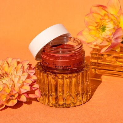 DR Docteur Renaud BB Blur Blush Abricot Cuivre Rosé - fard à joues ( 15g )