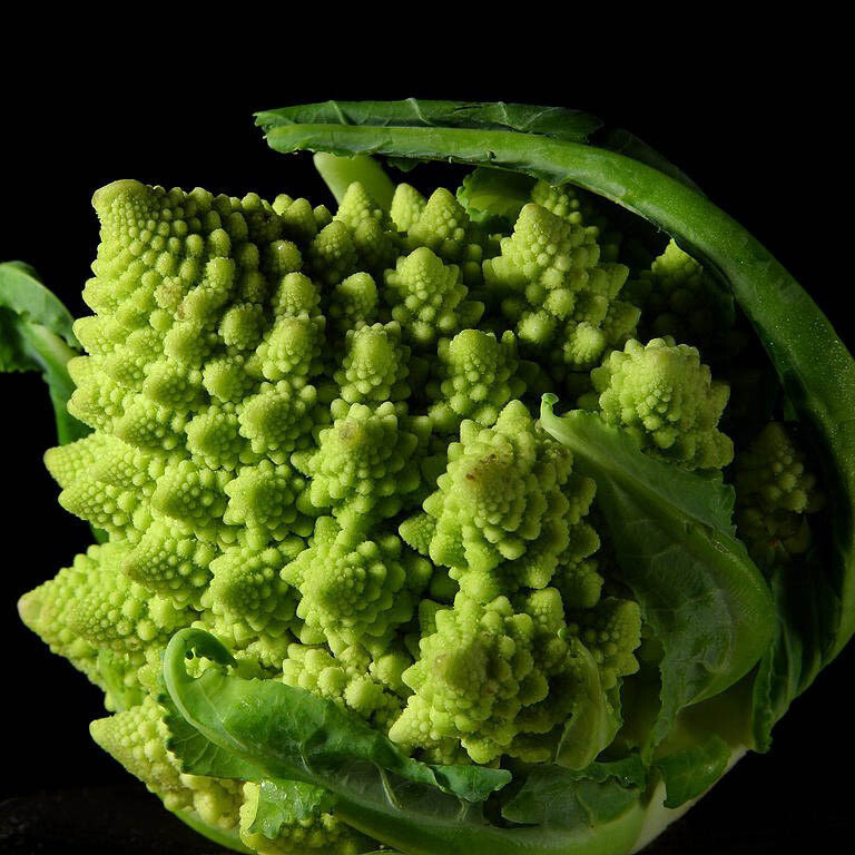 Romanesco broccoli Romanesco broccoli