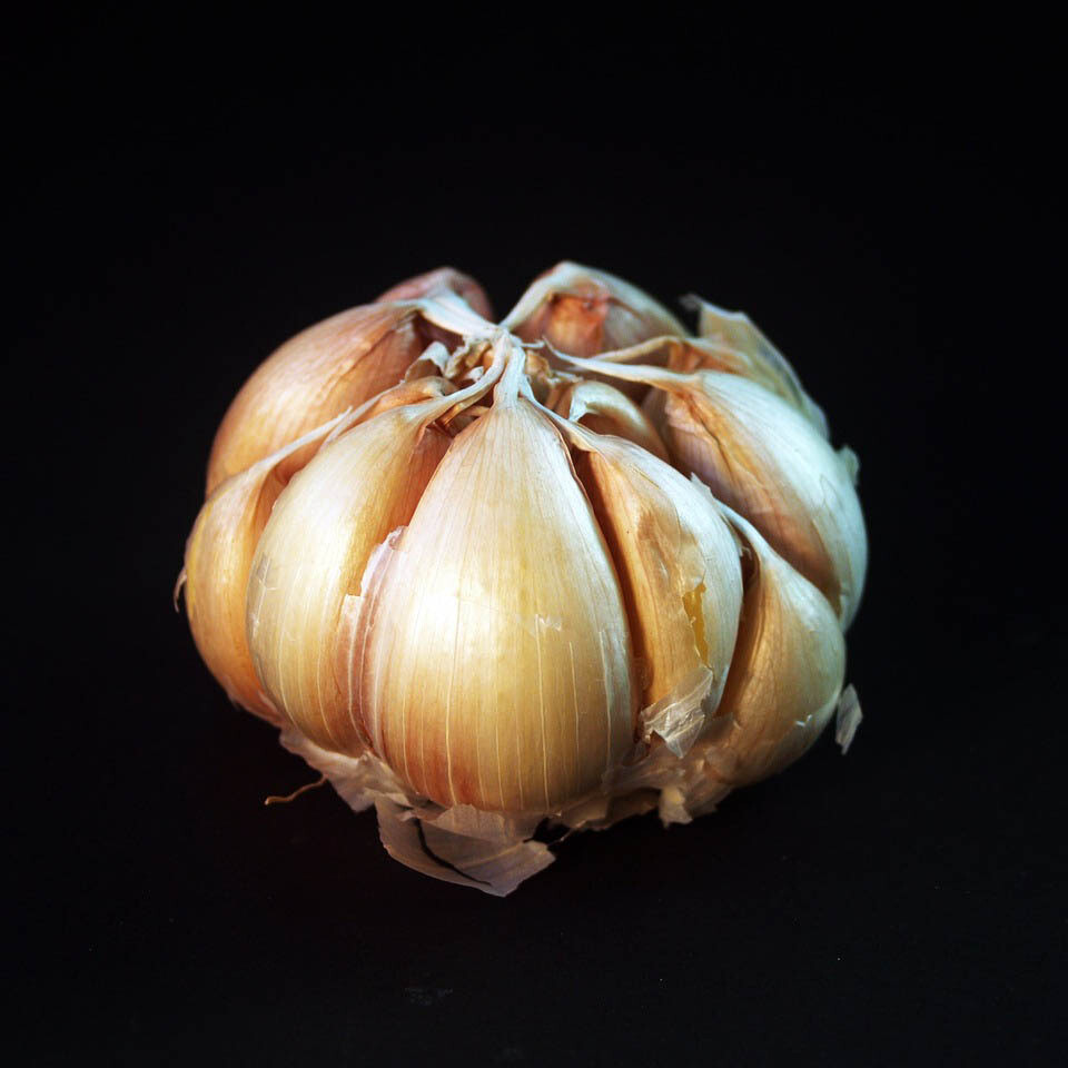 Garlic Garlic