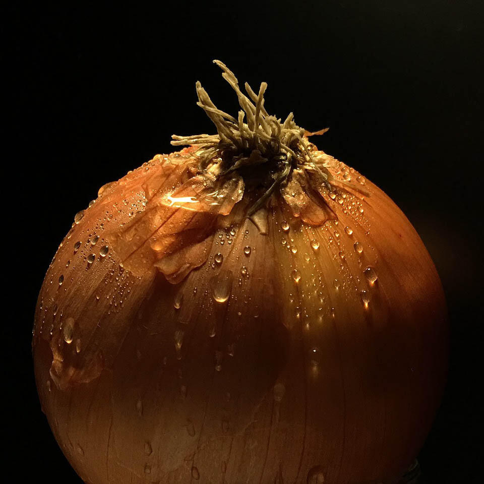 Onion Onion