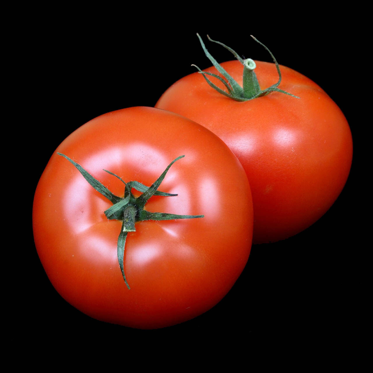 Tomatoes Tomatoes