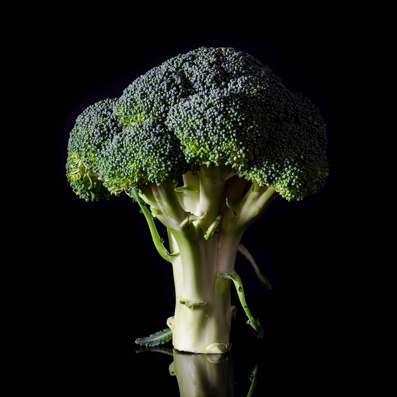 Broccoli Broccoli