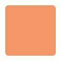ETERNAL TATTOO INK BRIGHT PEACH 2 OZ