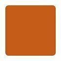 ETERNAL TATTOO INK BURNT ORANGE 2 OZ