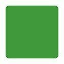 ETERNAL TATTOO INK JUNGLE GREEN 2 OZ