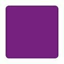 ETERNAL TATTOO INK RED VIOLET 2 OZ