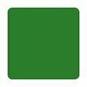 ETERNAL TATTOO INK SHAMROCK 2 OZ