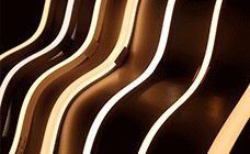 NEON LED STRIPS