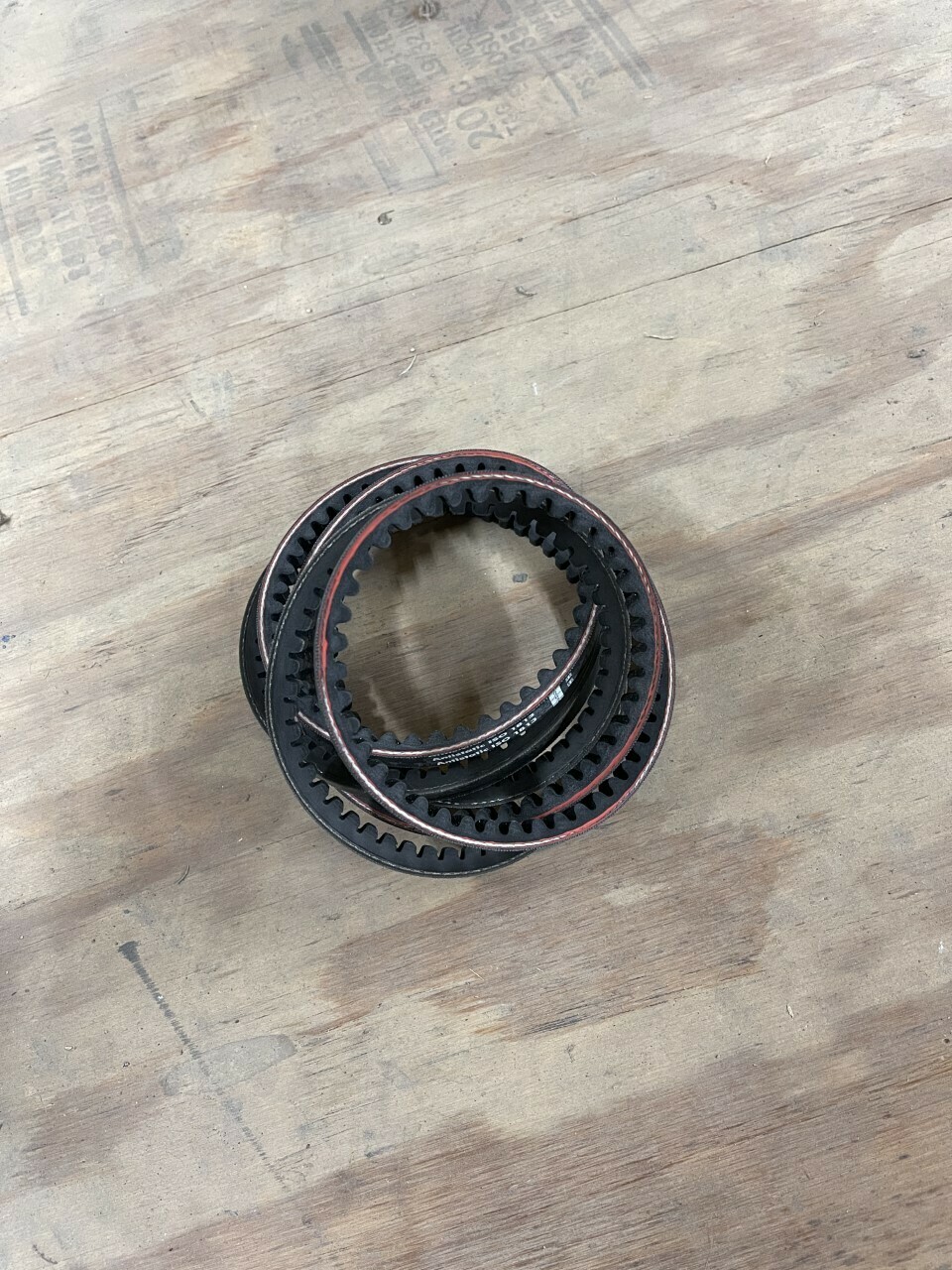 2113019976 FS Curtis Belt