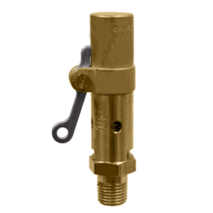 119CSS-6-200 Kingston 1"  200 Psig Safety Valve