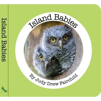 Island Babies by Judy Drew Fairchild