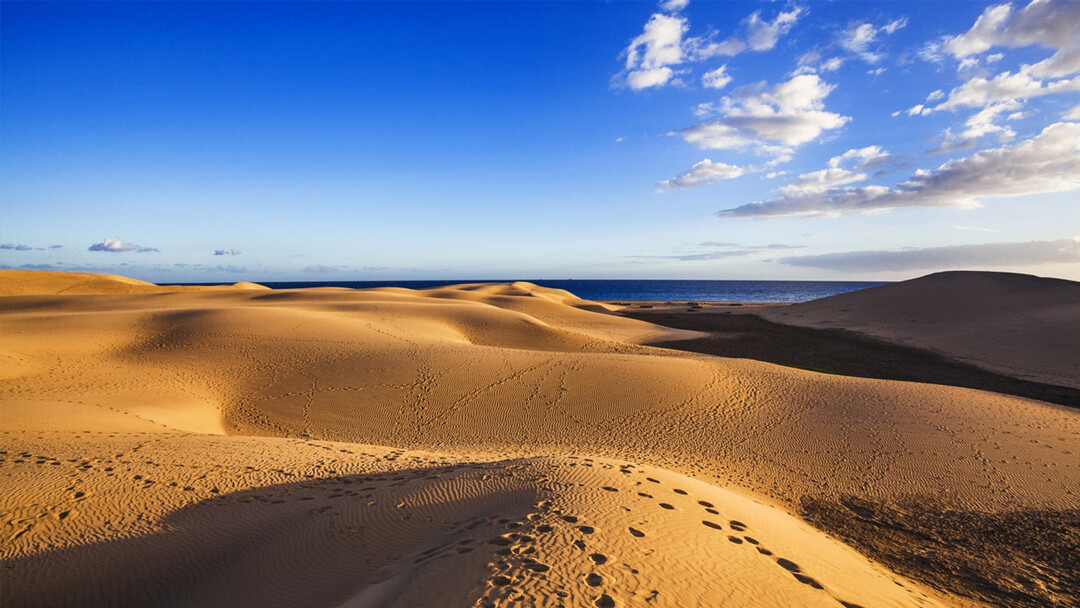 Transfer - Maspalomas