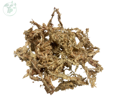 Sphagnum Moss - 5 Kilo Bale