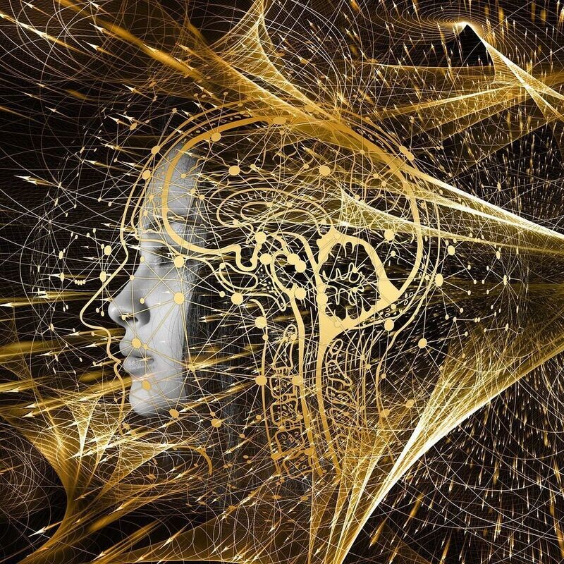 Quantum Wisdom: Second Pillar of the New Cosmology with Sarbmeet Kanwal - STREAMING ON DEMAND