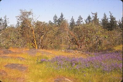 Bob Montgomery & Emily Eaton - What is a Land Sharing Network? Bob Montgomery & Emily Eaton - What is a Land Sharing Network?