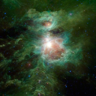 Betsey Crawford The Cosmos Within Us