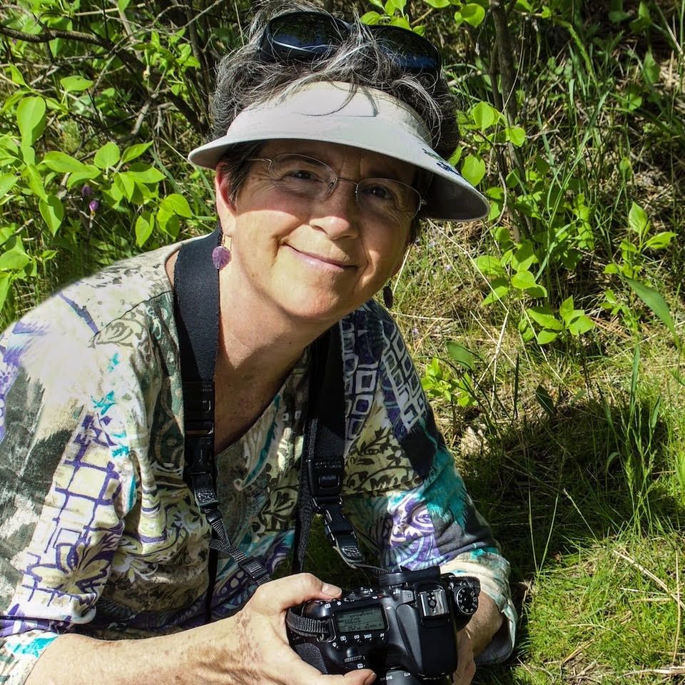 Betsey Crawford The Cosmos Within Us