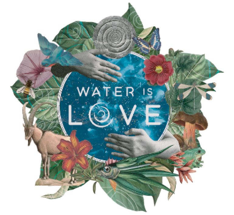 Water Is Love: Ripples of Regeneration