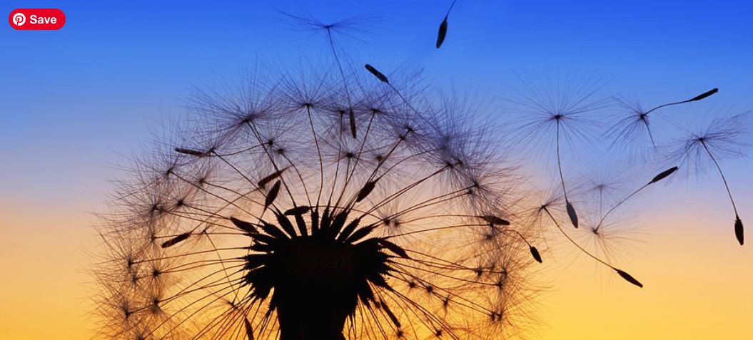 Rev. Dr. Carol Kilby Dance of Living On! Rev. Dr. Carol Kilby Dance of Living On!