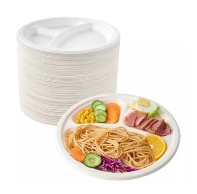 Sugarcane Bagasse 3 Compartment Plates Biodegradable Section Plates - 10" (26cm)