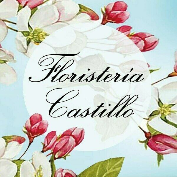floristeria Castillo de Soria 