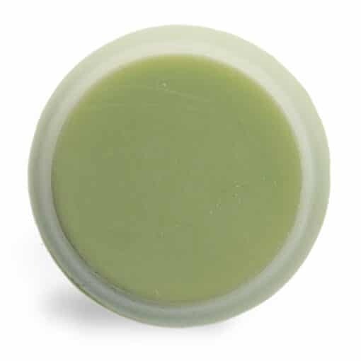 Body bar Kiwi