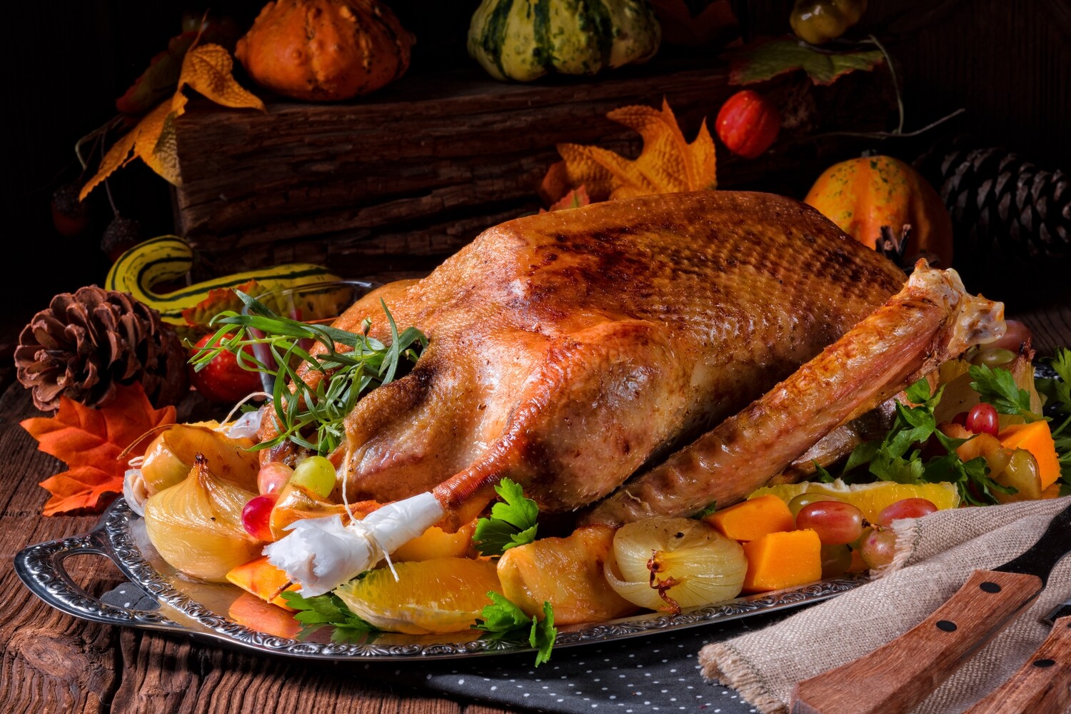 12-13+lb Free range goose