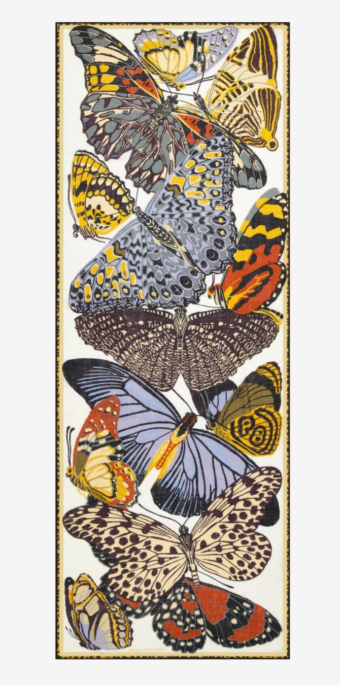 Etole Papillon
