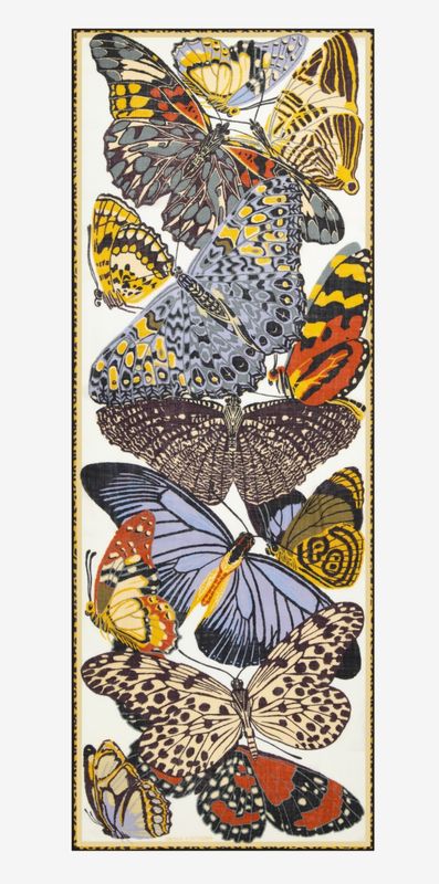 Etole Papillon