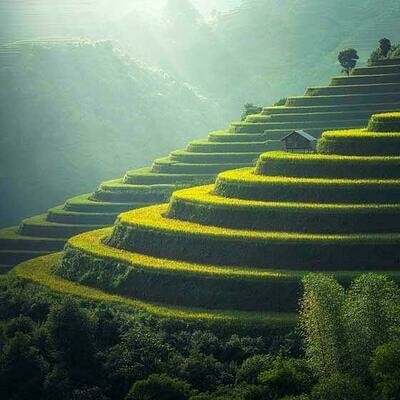 8 séances Balade Balizen 60min