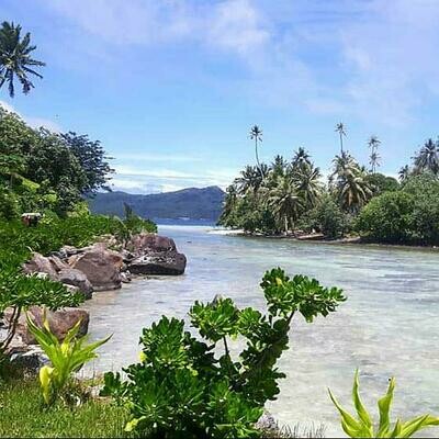 8 séances Balade à Tahiti 60min 8 séances Balade à Tahiti 60min