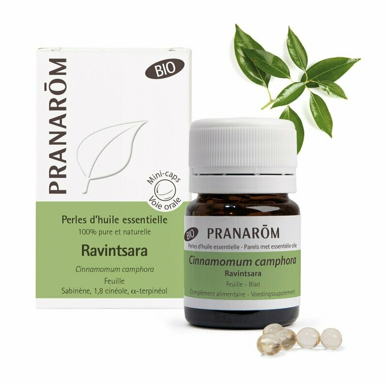 Perles d'Huile Essentielle Ravintsara BIO - Pranarôm