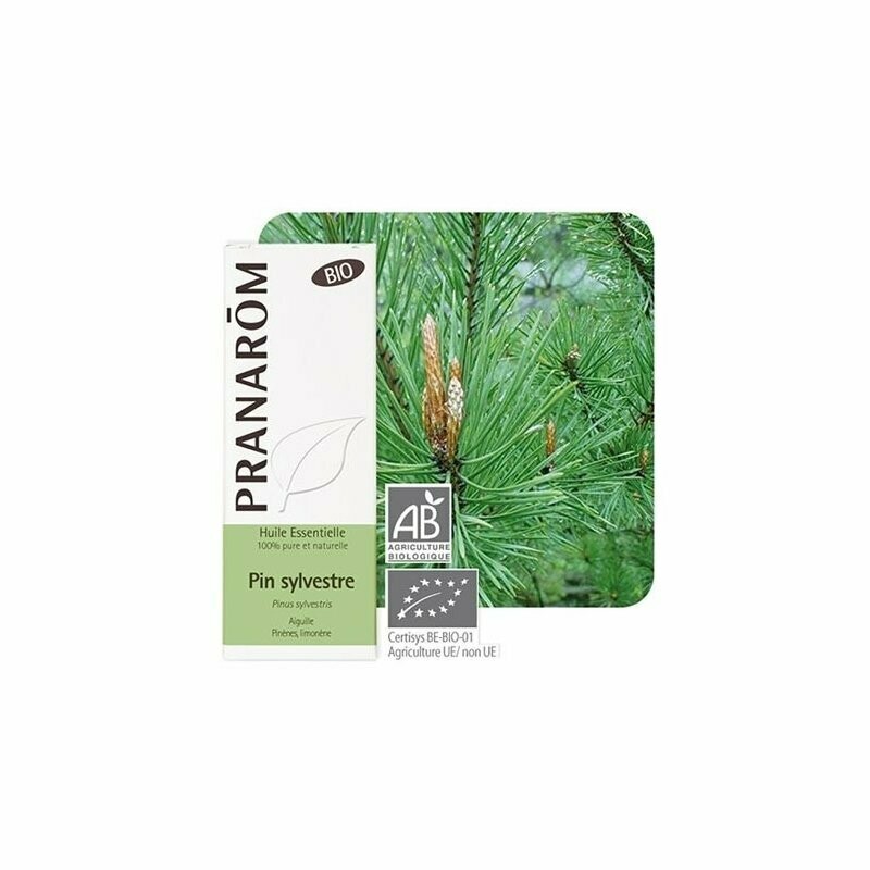 Huile Essentielle de Pin Sylvestre BIO 10ml - Pranarôm