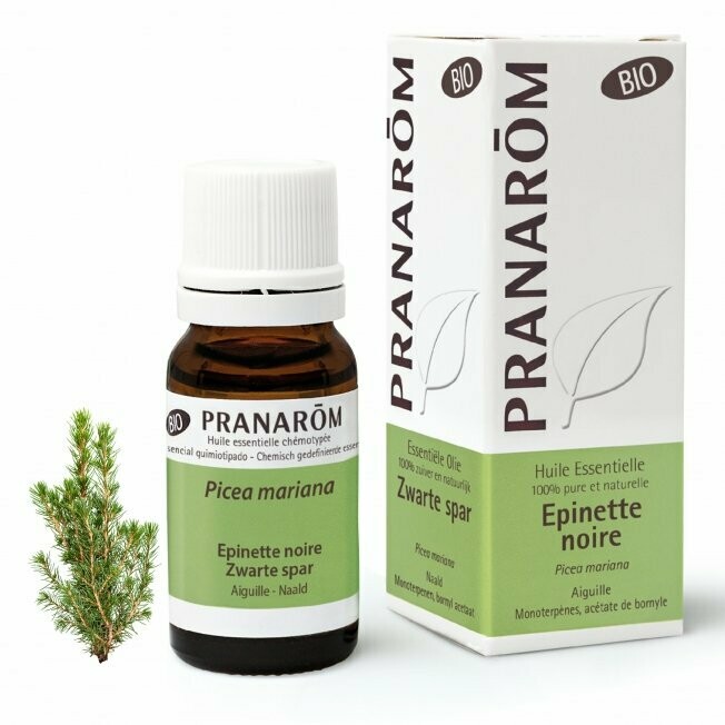 Huile Essentielle Epinette Noire BIO 10ml - Pranarôm