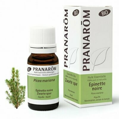 Huile Essentielle Epinette Noire BIO 10ml - Pranarôm