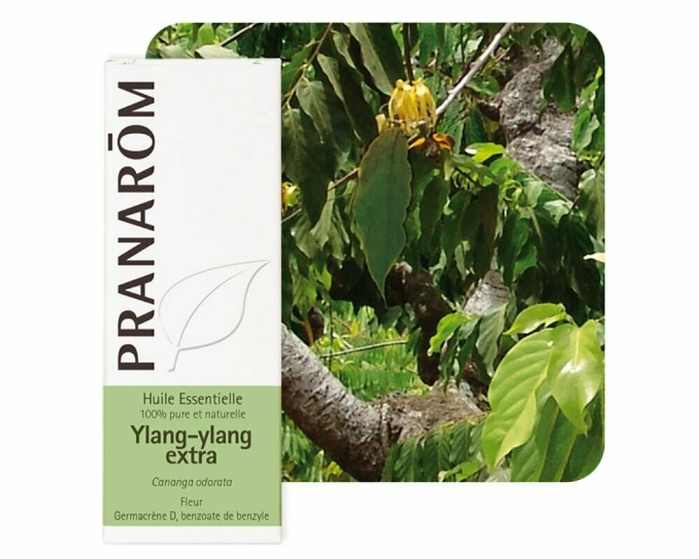 Huile Essentielle d'Ylang ylang extra 5ml - Pranarôm