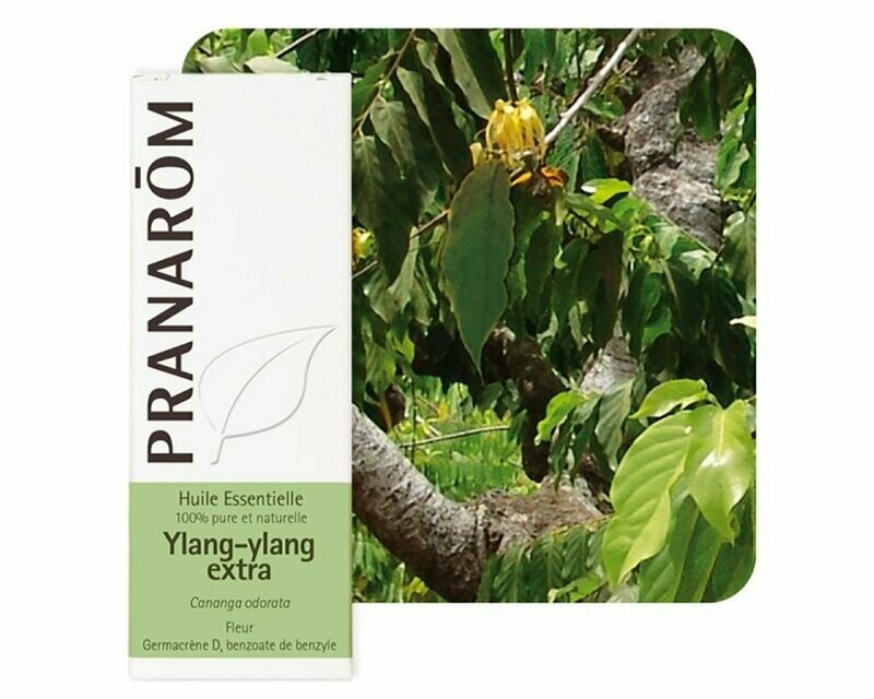 Huile Essentielle d'Ylang ylang extra 5ml - Pranarôm