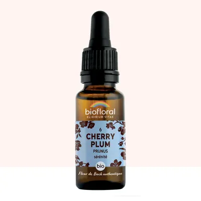 N°6 Prunus / Cherry Plum 20ml N°6 Prunus / Cherry Plum 20ml