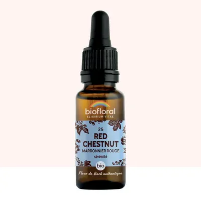 N°25 Marronnier Rouge / Red Chestnut 20ml