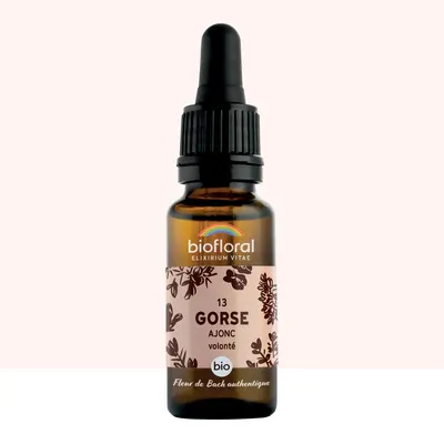 N°17 Charme / Hornbeam 20ml