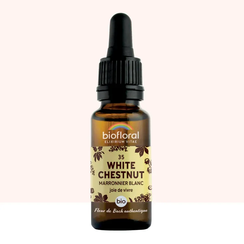 N°35 Marronnier Blanc / White Chestnut 20ml