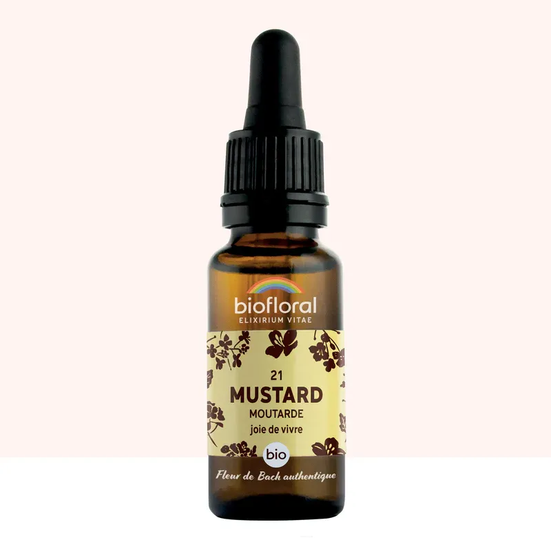 N°21 Moutarde / Mustard 20ml