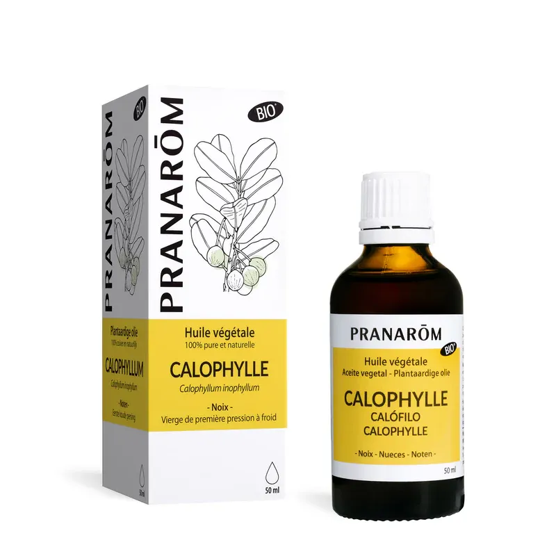 Huile végétale de Calophylle 50ml