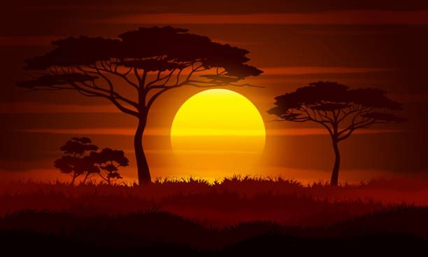 8 Séances Balade Africaine Sabi Sabi 60mn