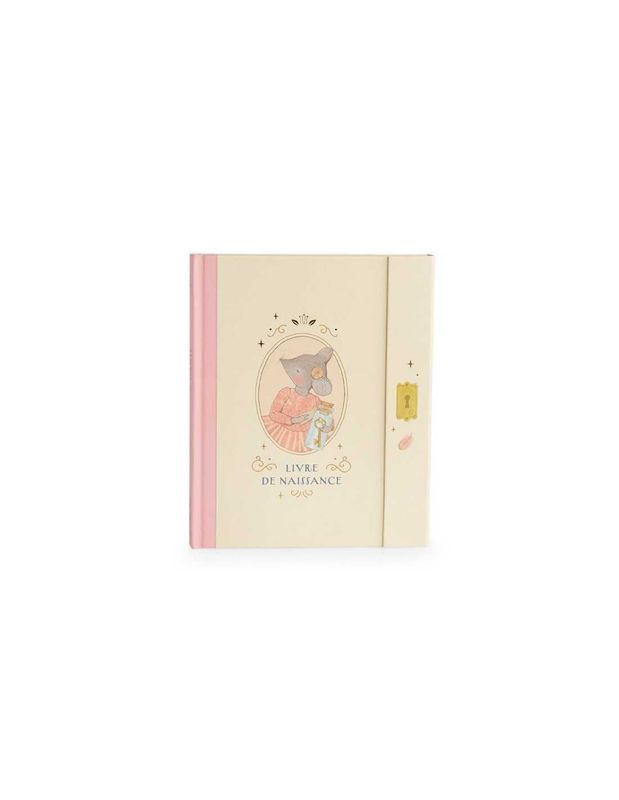 Livre de naissance "la petite école de danse" - Moulin Roty