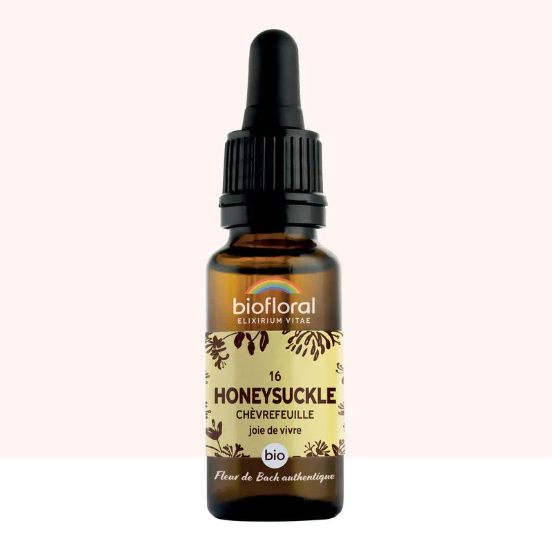 N°16 Chèvrefeuille / Honeysuckle 20ml