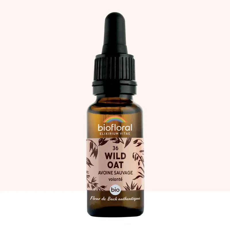 N°36 Avoine Sauvage / Wild Oat 20ml
