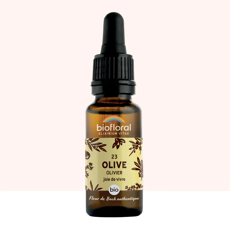 N°23 Olivier / Olive 20ml